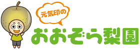 元気印のおおぞら梨園